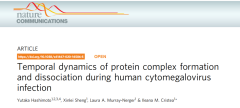 科学网Nat Commun：蛋白组学揭示人巨细胞病毒感染
